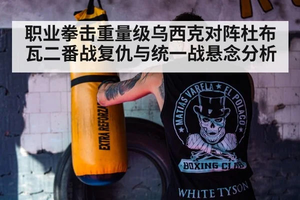 职业拳击重量级乌西克对阵杜布瓦二番战复仇与统一战悬念分析